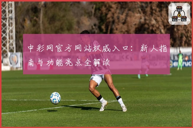 中彩网官方网站权威入口：新人指南与功能亮点全解读