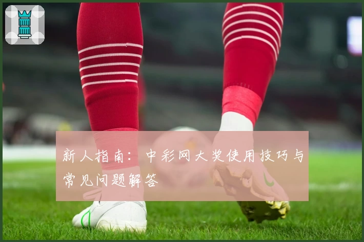 新人指南：中彩网大奖使用技巧与常见问题解答