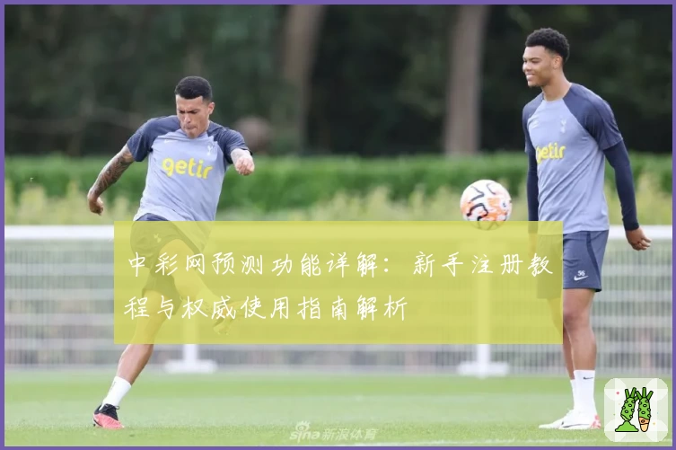 中彩网预测功能详解：新手注册教程与权威使用指南解析