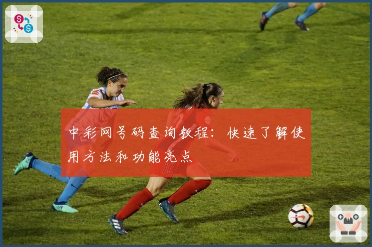 中彩网号码查询教程：快速了解使用方法和功能亮点