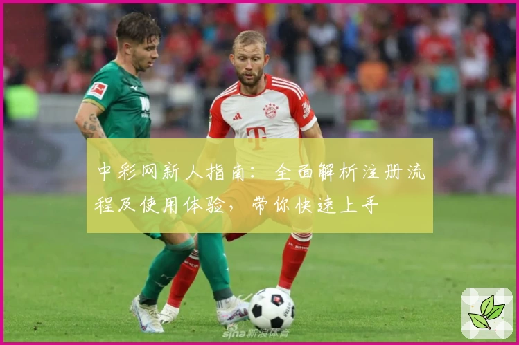 中彩网新人指南：全面解析注册流程及使用体验，带你快速上手